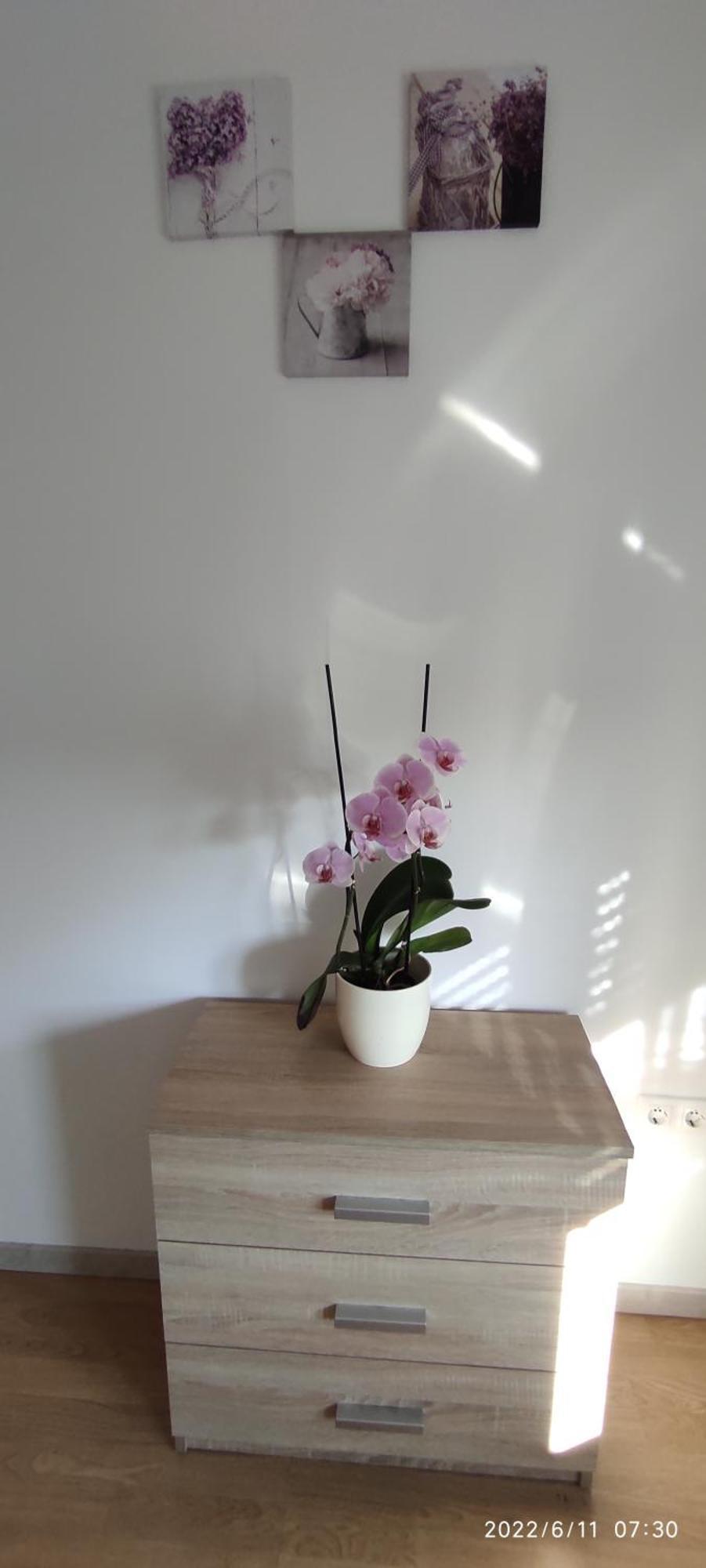 Apartment Zelena Oaza Sisan 75 M2 - 2 Bedrooms Exterior photo